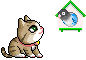 cat 23